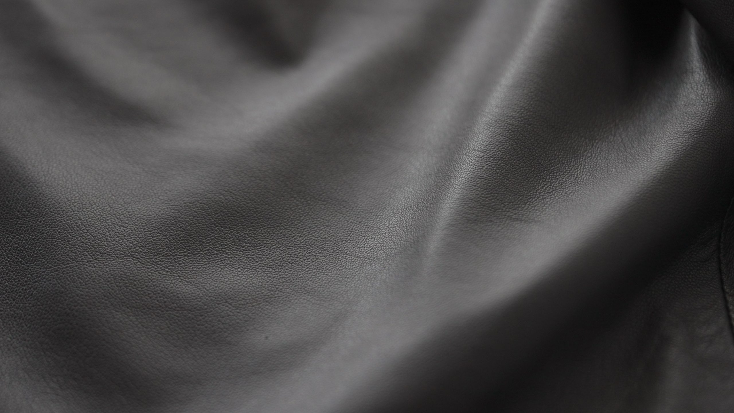 shutterstock_2180086777